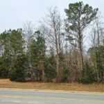 Property photo for land for sale in Mecklenburg County Virginia