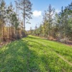 Property photo for land for sale in Amite County Mississippi