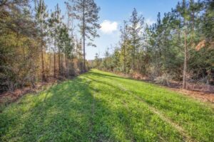 Property photo for land for sale in Amite County Mississippi