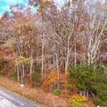 Property photo for land for sale in Adair County Kentucky