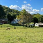 Property photo for land for sale in Giles County Tennessee