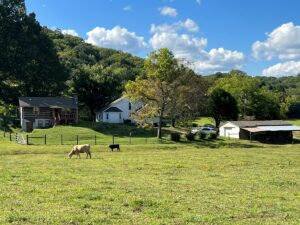 Property photo for land for sale in Giles County Tennessee