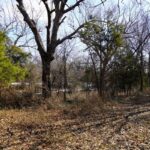 Property photo for land for sale in Lincoln County Oklahoma