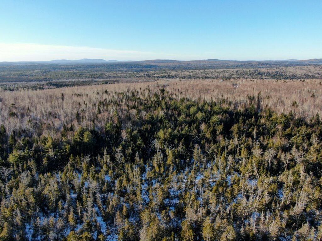 Property photo for land for sale in Penobscot County Maine