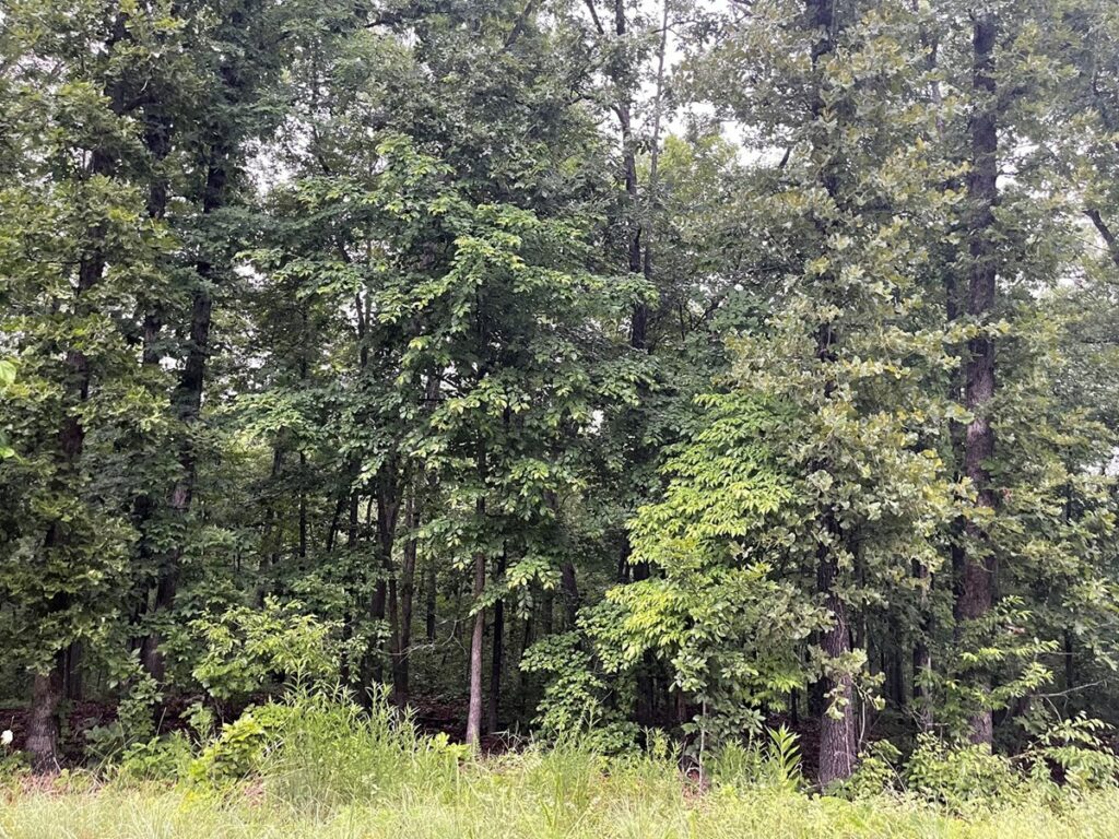 Property photo for land for sale in Sharp County Arkansas