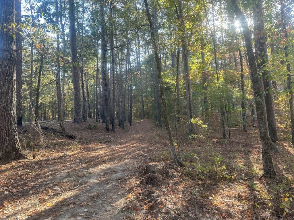 Property photo for land for sale in Clark County Arkansas