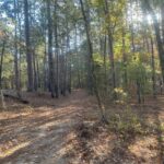 Property photo for land for sale in Clark County Arkansas