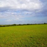 Property photo for land for sale in Lincoln County Oklahoma