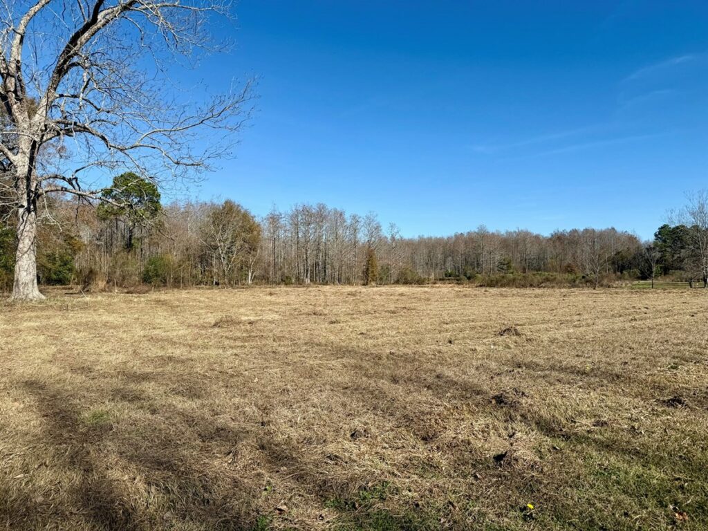 Property photo for land for sale in Geneva County Alabama