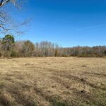 Property photo for land for sale in Geneva County Alabama