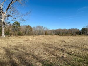 Property photo for land for sale in Geneva County Alabama