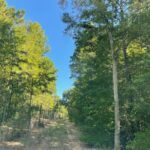 Property photo for land for sale in Cherokee County Texas