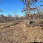 Property photo for land for sale in Mayes County Oklahoma