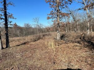 Property photo for land for sale in Mayes County Oklahoma