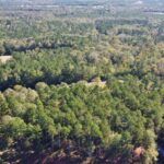 Property photo for land for sale in Lincoln County Louisiana