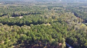 Property photo for land for sale in Lincoln County Louisiana