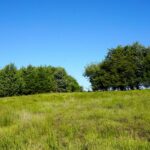 Property photo for land for sale in Lincoln County Oklahoma