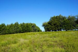 Property photo for land for sale in Lincoln County Oklahoma