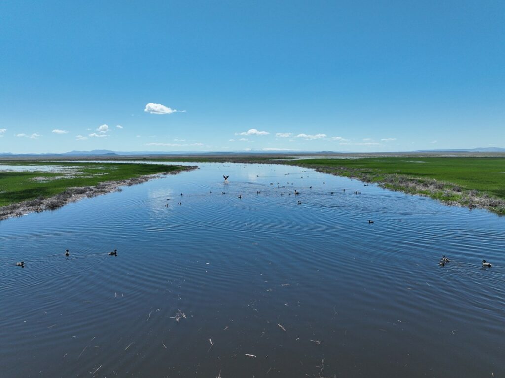 Property photo for land for sale in Harney County Oregon