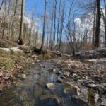 Property photo for land for sale in Pittsylvania County Virginia