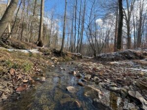 Property photo for land for sale in Pittsylvania County Virginia