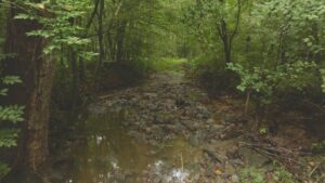 Property photo for land for sale in Pittsylvania County Virginia