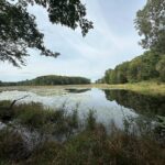 Property photo for land for sale in Portage County Wisconsin