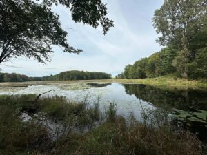 Property photo for land for sale in Portage County Wisconsin