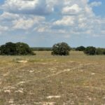 Property photo for land for sale in Wilson County Texas