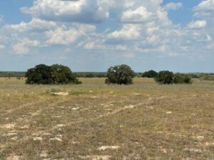 Property photo for land for sale in Wilson County Texas