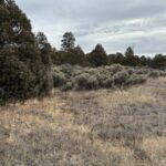 Property photo for land for sale in Rio Arriba County New Mexico