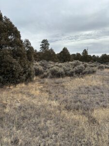 Property photo for land for sale in Rio Arriba County New Mexico