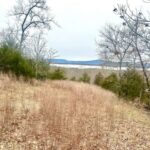 Property photo for land for sale in Pushmataha County Oklahoma