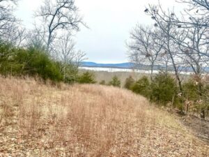 Property photo for land for sale in Pushmataha County Oklahoma