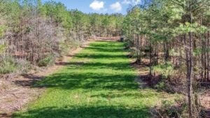 Property photo for land for sale in Jefferson Davis County Mississippi