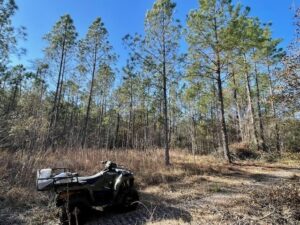 Property photo for land for sale in Hancock County Mississippi