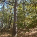 Property photo for land for sale in Clark County Arkansas