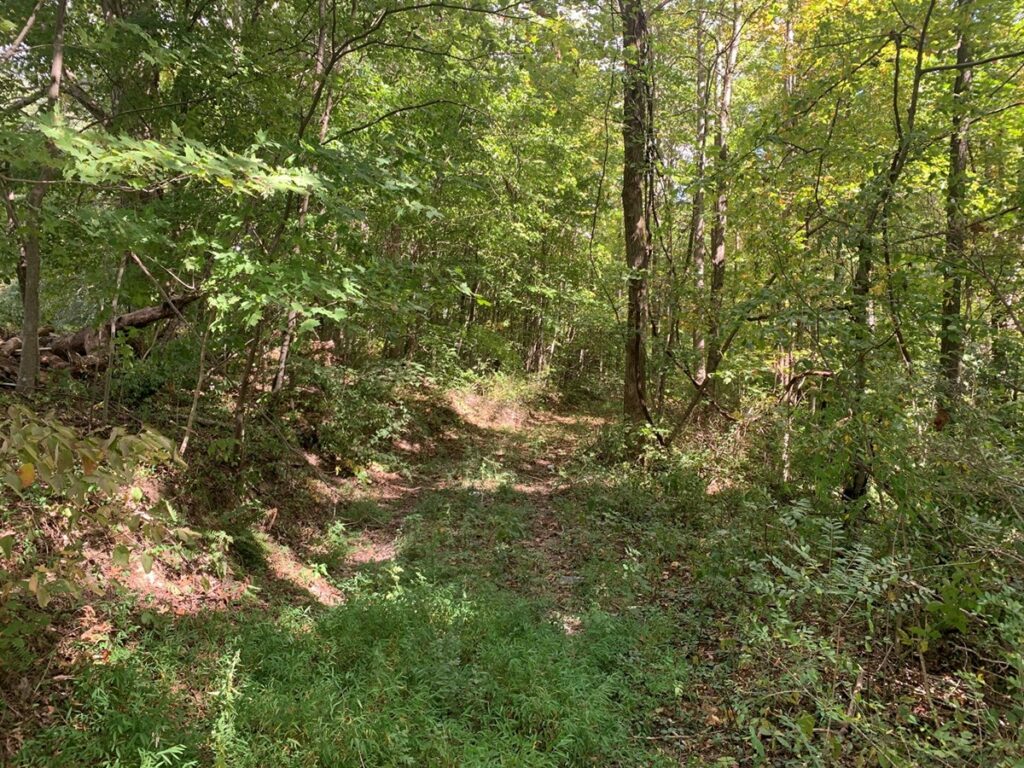 Property photo for land for sale in Casey County Kentucky