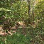 Property photo for land for sale in Casey County Kentucky