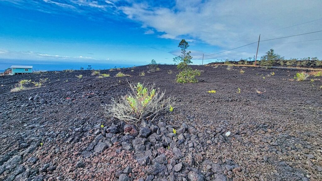 Property photo for land for sale in Hawaii County Hawaii