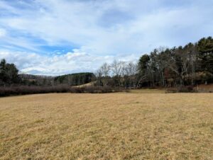 Property photo for land for sale in Floyd County Virginia