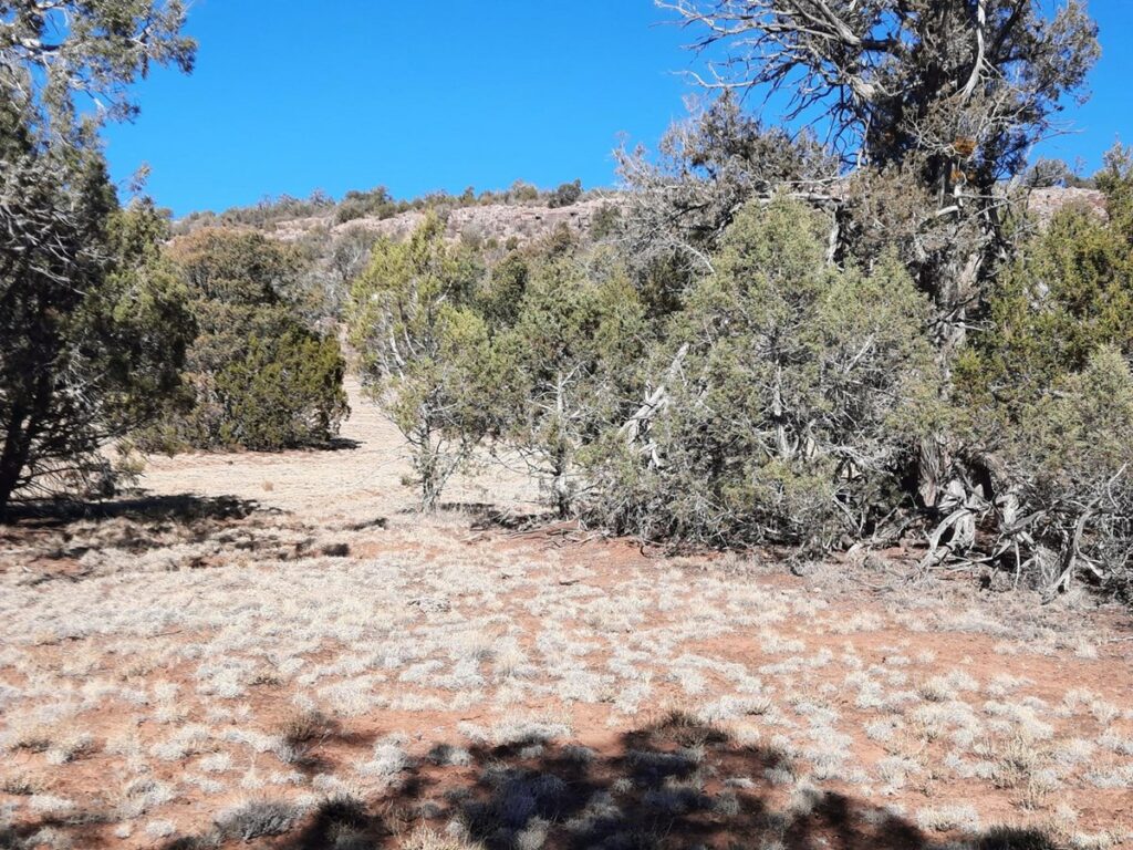 Property photo for land for sale in Yavapai County Arizona