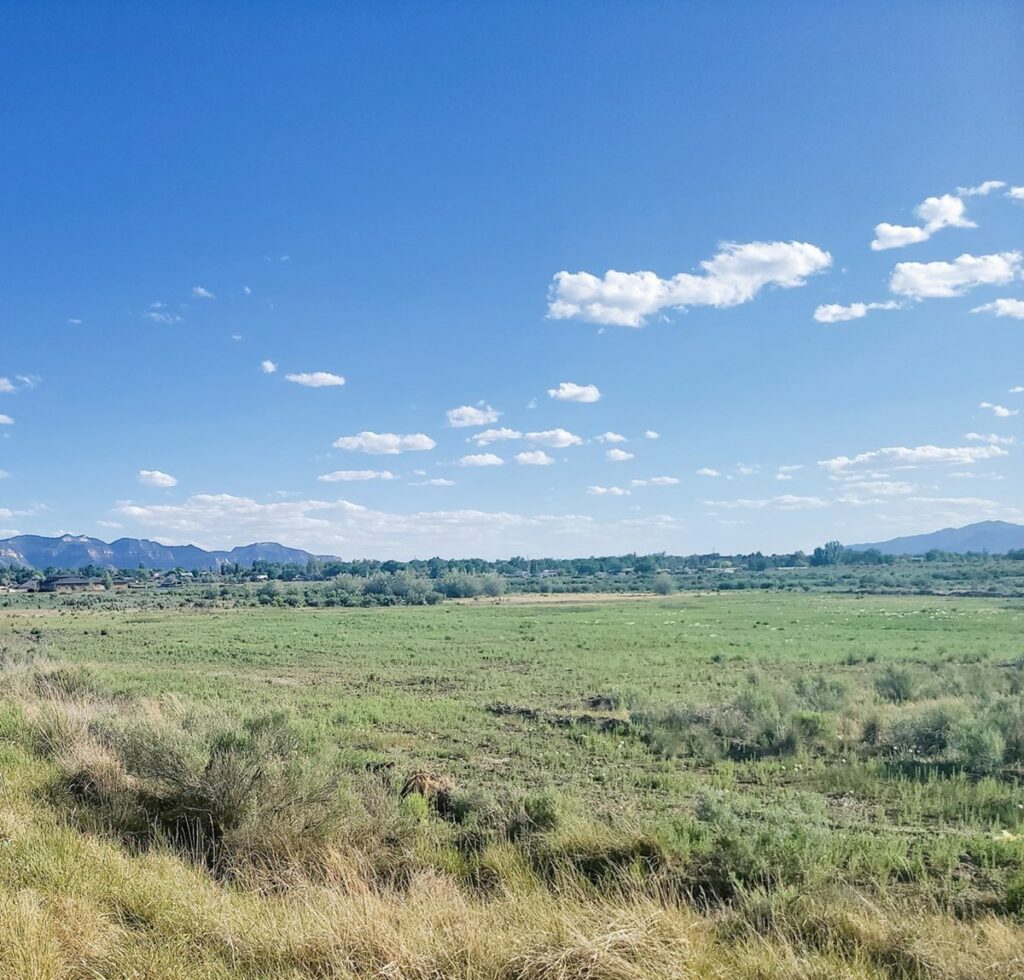 Property photo for land for sale in Montezuma County Colorado