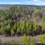 Property photo for land for sale in Le Flore County Oklahoma