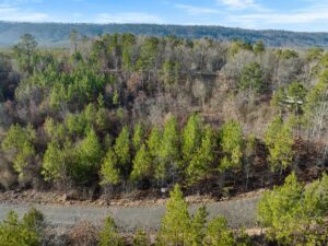 Property photo for land for sale in Le Flore County Oklahoma