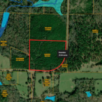 Property photo for land for sale in Cass County Texas