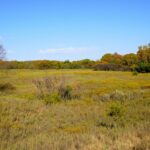 Property photo for land for sale in Lincoln County Oklahoma