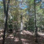 Property photo for land for sale in Clark County Arkansas