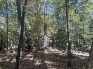 Property photo for land for sale in Clark County Arkansas