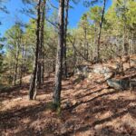 Property photo for land for sale in Le Flore County Oklahoma